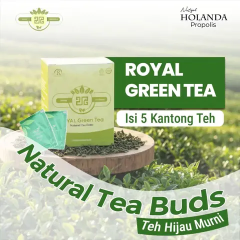 Holanda Royal Green Tea